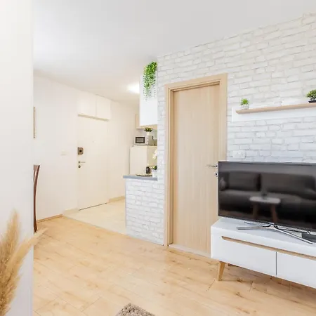 Pure Comfort - Cvita