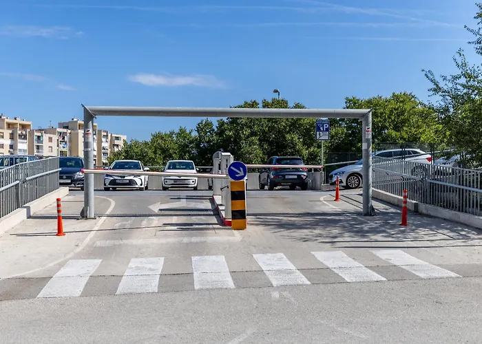 Pure Comfort - Cvita *