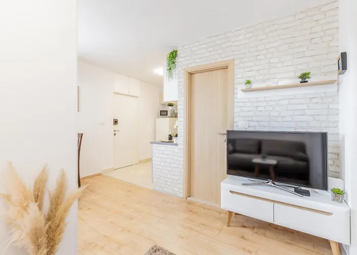 Pure Comfort - Cvita